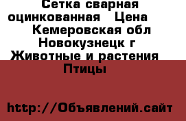 Сетка сварная оцинкованная › Цена ­ 104 - Кемеровская обл., Новокузнецк г. Животные и растения » Птицы   